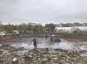 庆阳河道鱼塘清淤
